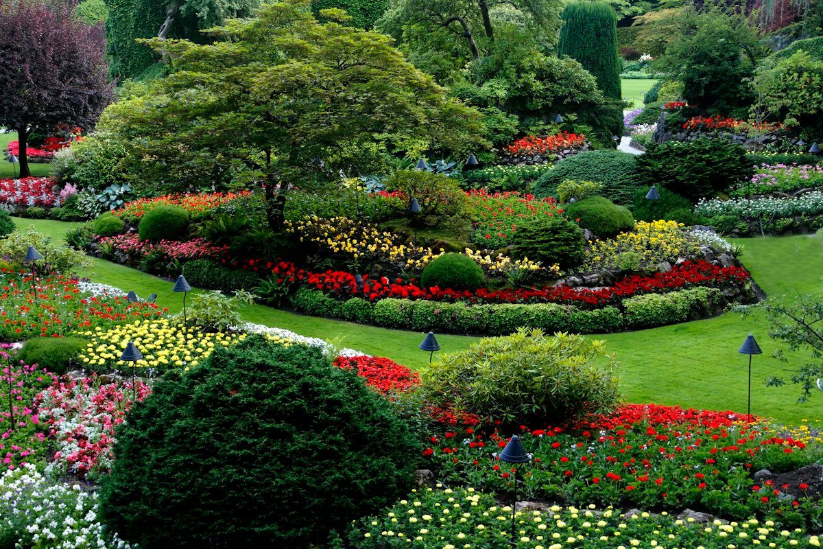 Garden & Landscape Design