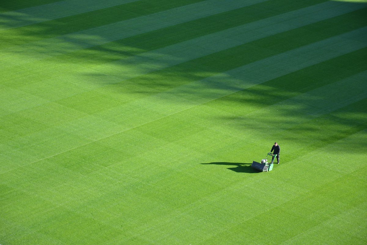 Fertilisation & Lawn Care